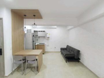 Apartaestudio en arriendo, Centro