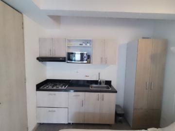 Apartaestudio en arriendo, Centro