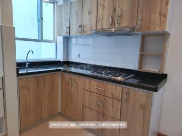 Apartaestudio en arriendo, Coeducadores