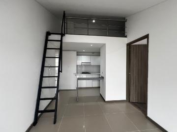 Apartaestudio En Arriendo En Armenia En Oro Negro A338649