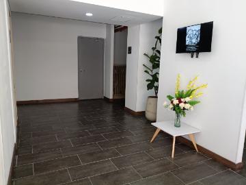 Apartaestudio En Arriendo En Bogota En Chapinero Central A389873
