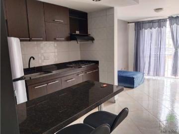 APARTAESTUDIO EN ARRIENDO EN CENTRO COD 9838