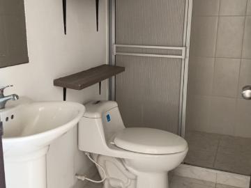 Apartaestudio En Arriendo En Pereira En Centro A355831