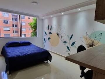 Apartaestudio en arriendo, Los colores