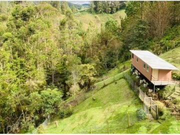 Apartaestudio en arriendo, Pantanillo