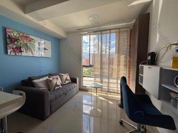 Apartaestudio en arriendo, Suramericana