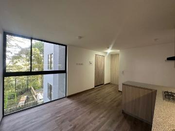 Apartaestudio en arriendo, Saenz