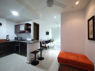 Apartaestudio en arriendo, San vicente