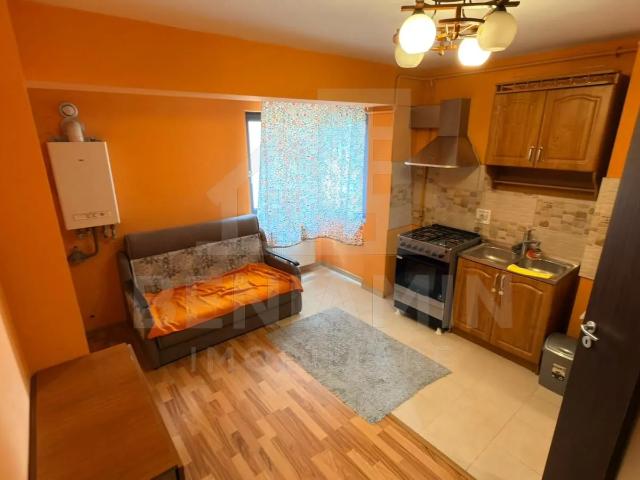 Apartament modern 2 camere Calea Severinului