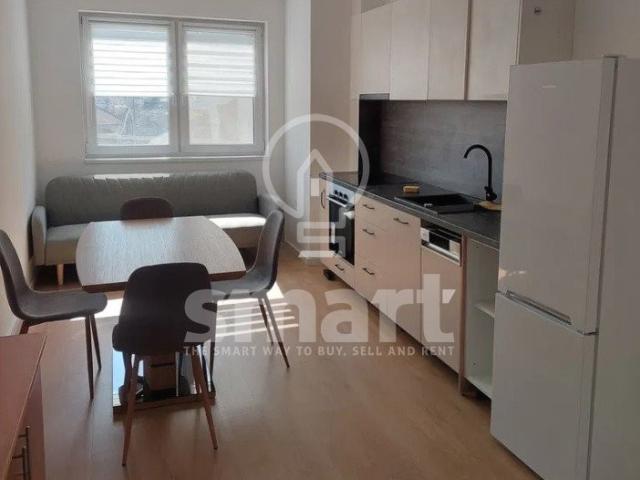 Apartament modern 3 camere pet friendly strada Campina