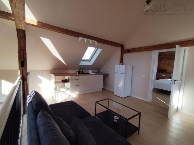 Apartament modern la curte