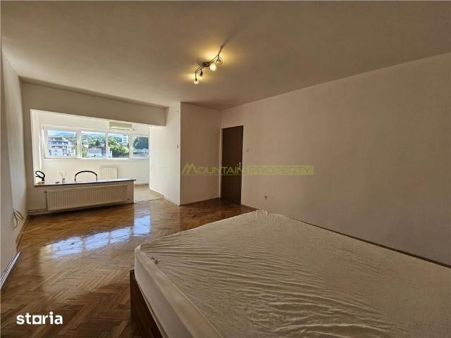 Apartament nemobilat cu priveliste Grivitei