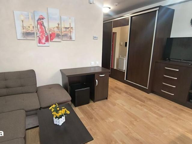 Apartament ARED cu 1 camera, St. O. Iosif, Oradea, 300 euro/luna