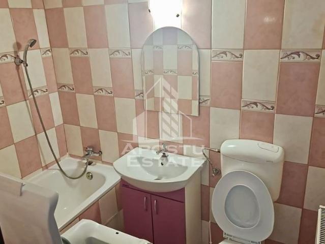 Apartament cu o camera, AC, zona Lunei