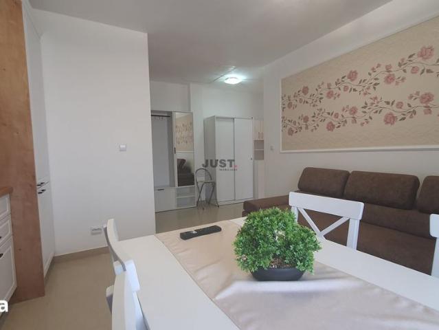 Apartament cu o camera, strada Scortarilor