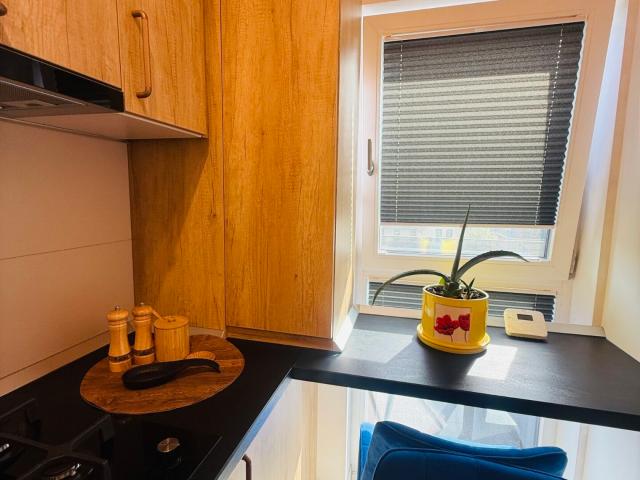 BUCIUM, FREYA, APARTAMENT LA PRIMA INCHIRIERE, DISPONIBIL IMEDIAT