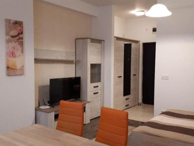 Apartament cu 1 cameră, BLOC NOU, zona Tatarasi