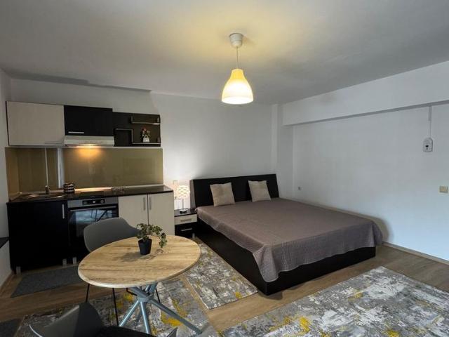 Apartament cu 1 camera mobilat lângă facultăţi Tudor V. 390EUR