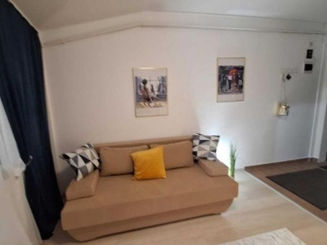 Apartament cu 1 camera Capat CUG Pepinierei Pet Friendly