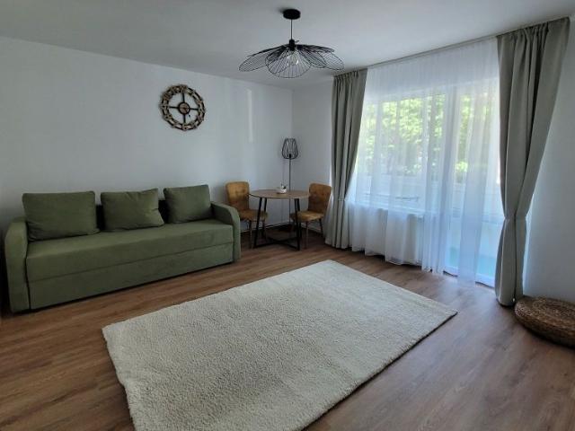 Apartament cu 1 camera, Dambu Pietros