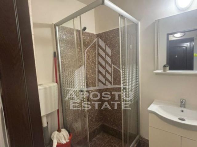 Apartament cu 1 camera, de inchiriat, Zona Aradului, Timisoara