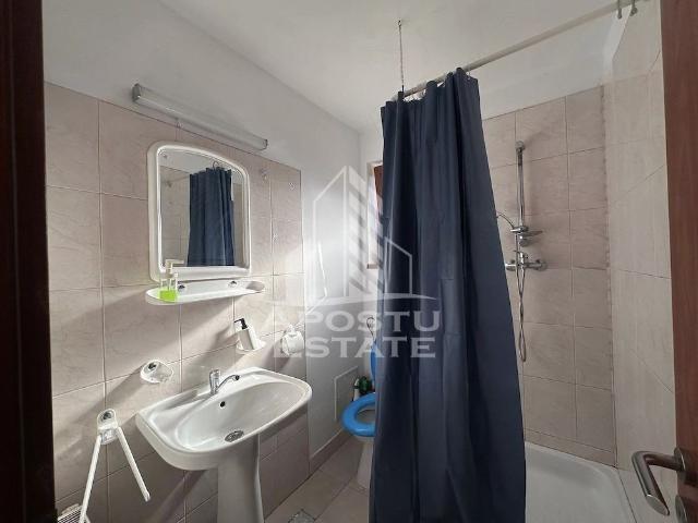 Apartament cu 1 camera, de inchiriat, Zona Take Ionescu,Timisoara