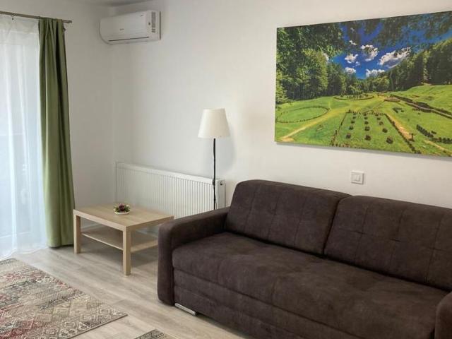 Apartament cu 1 camera, decomandat, zona Poitiers Tower