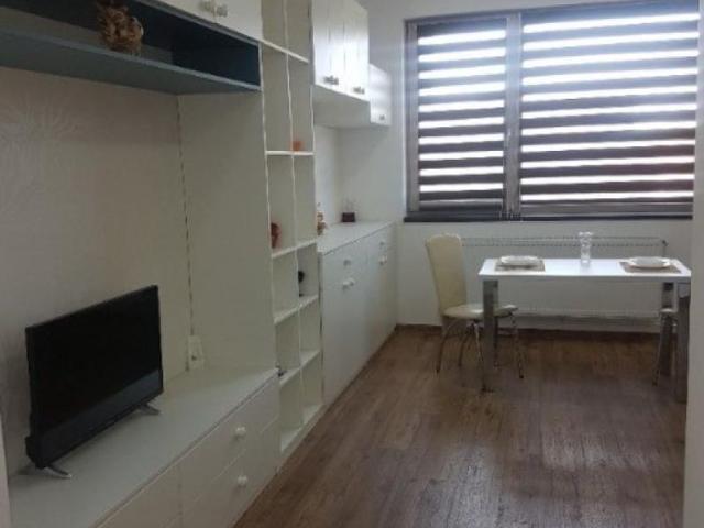Apartament cu 1 camera in Tatarasi Doi Baieti