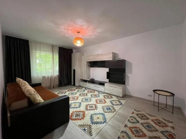 Apartament cu 1 camera in Tatarasi Doi Baieti