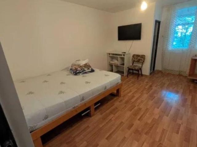 Apartament cu 1 camera in Tatarasi Flora