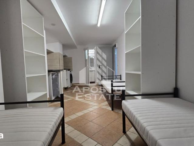 Apartament cu 1 camera, Sagului