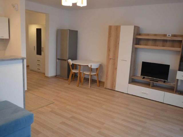 Apartament cu 1 camera, Tudor