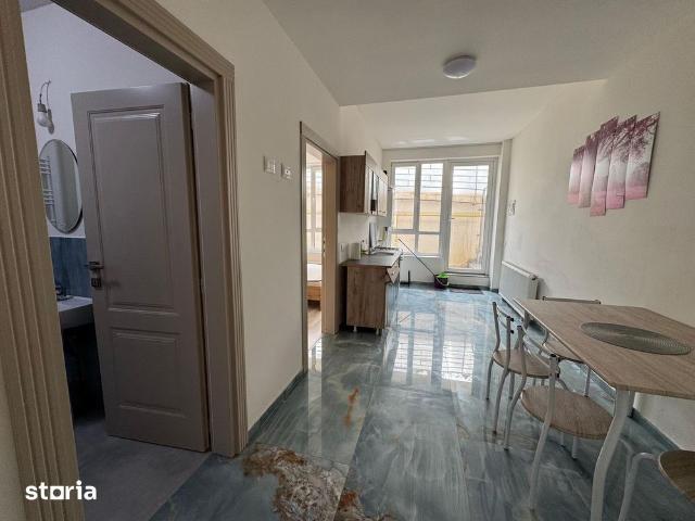 Apartament cu 1 camera Visan