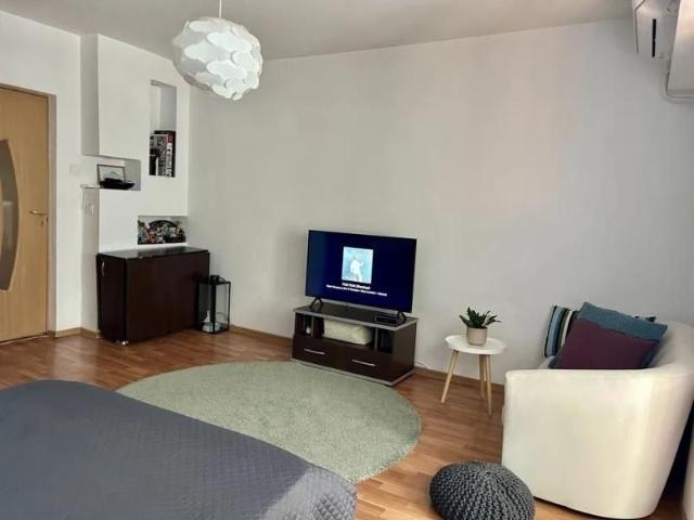 Apartament cu 1 camera zona Nicolina Lidl