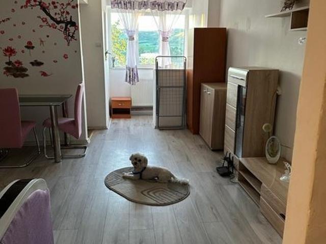Apartament cu 1 camera