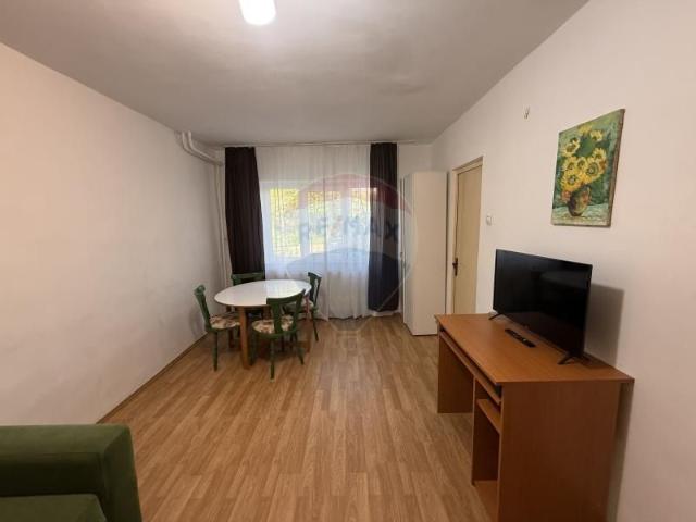 Apartament cu 1 camere de inchiriat, zona Zorilor