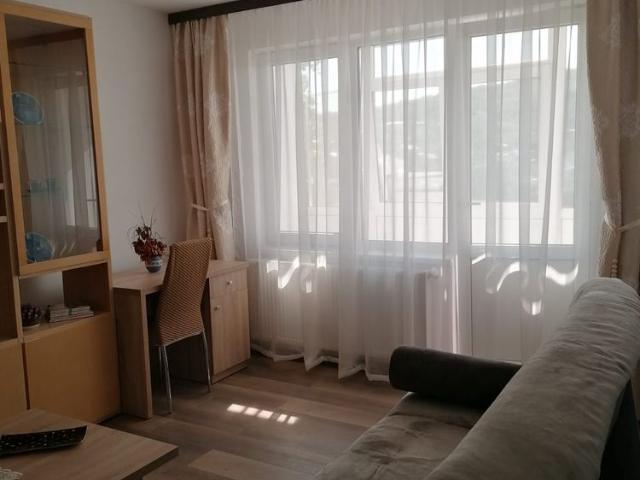 Apartament cu 2 camere, DECOMANDAT, zona Alexandru Cel Bun