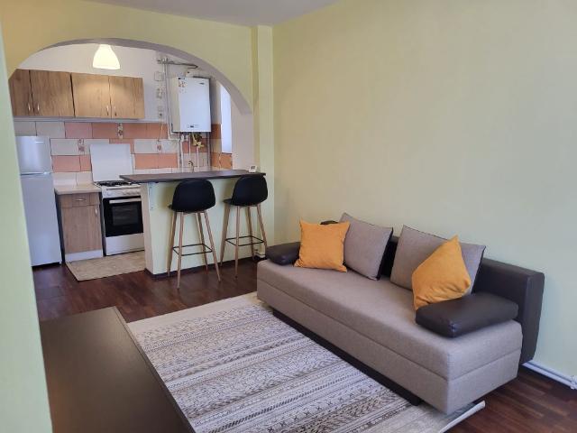 Apartament cu 2 camere, PET FRIENDLY, zona Bucium OMV