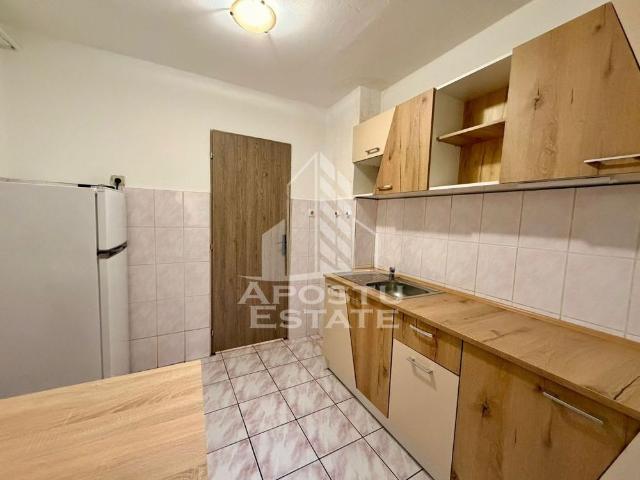 Apartament cu 2 camere, pet friendly, zona Lipovei