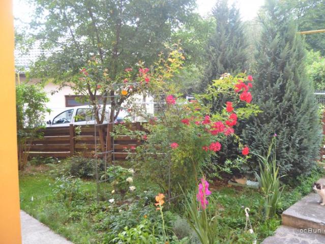 Apartament cu 2 camere Sinaia