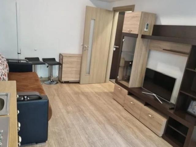 Apartament cu 2 camere zona Nicolina Newton City Pet Friendly