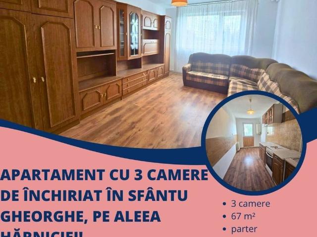 Apartament cu 3 camere de închiriat în Sf. Gheorghe, pe Al. Hărniciei!