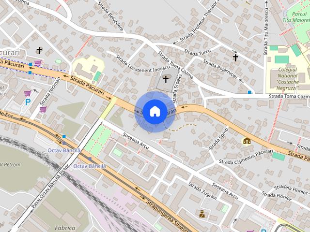 Apartament cu 4 camere, Decomandat, Pacurari Petru Poni