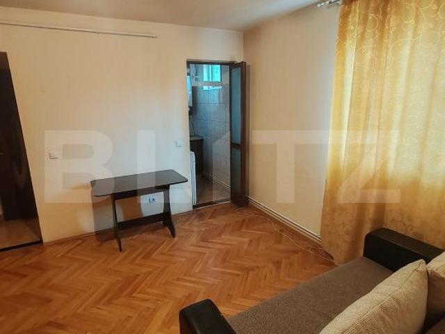 Apartament cochet, 2 camere, 30 mp, zona Rovinari