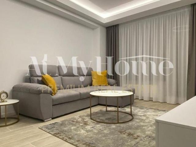 Apartament cochet cu 2 camere, mobilat LUX, in fata Parcului Herastrau, paza