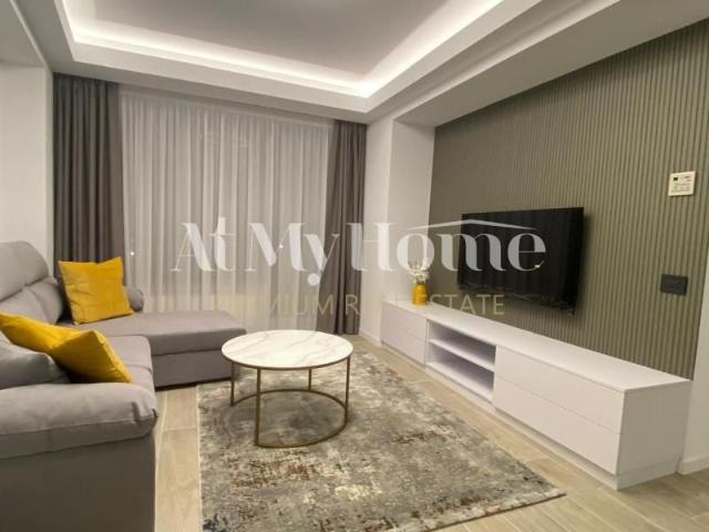 Apartament cochet cu 2 camere, mobilat LUX, in fata Parcului Herastrau, paza