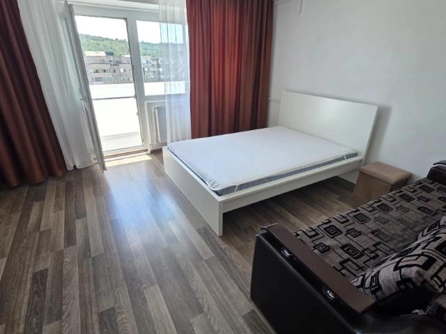 Apartament de inchiriat, 1 camera, decomandat, 47 mp, Nicolina, Pizza Nico, Cod 162715