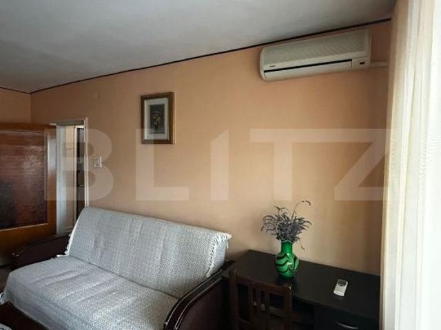 Apartamente de închiriat: Tineretului, Sectorul 4