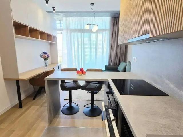 Apartament De Inchiriat 2 Camere Utilat Mobilat Lux Up Site Floreasca