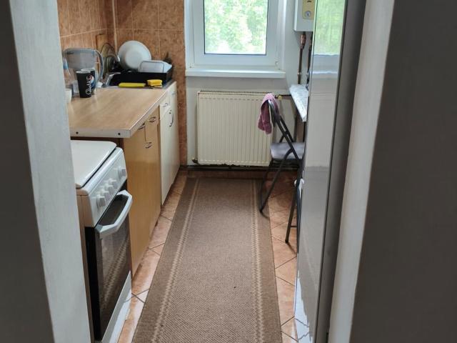 Apartament de inchiriat 2 camere Alexandru cel Bun